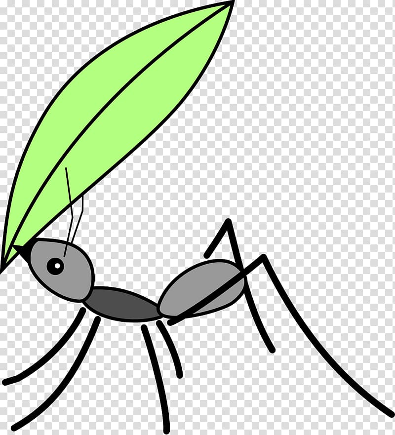 Black garden ant Insect Drawing , ants transparent background PNG clipart