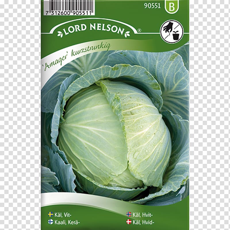 Formula 1 Broccoli Seed Vegetable Bok choy, Brassica Oleracea transparent background PNG clipart