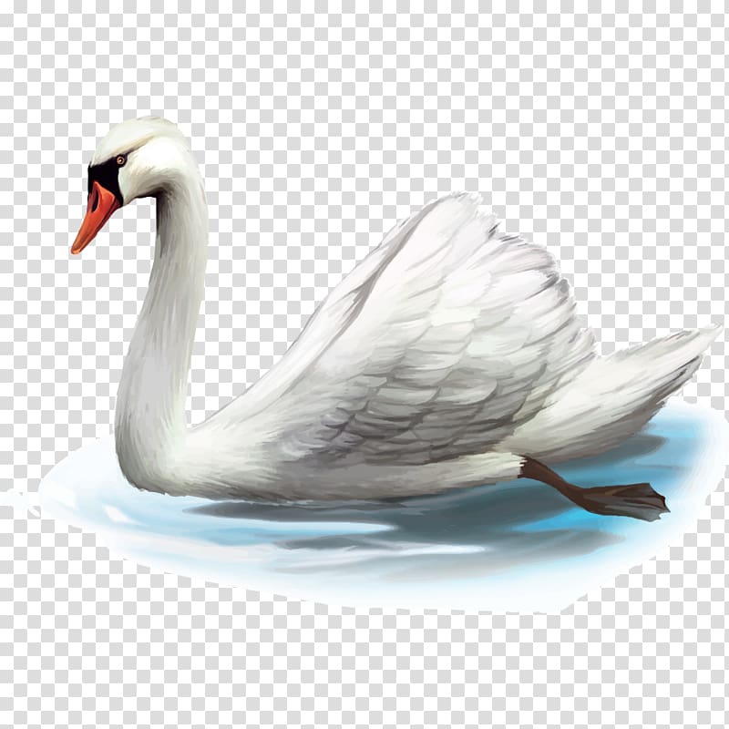 Cygnini Cartoon Illustration, Goose transparent background PNG clipart