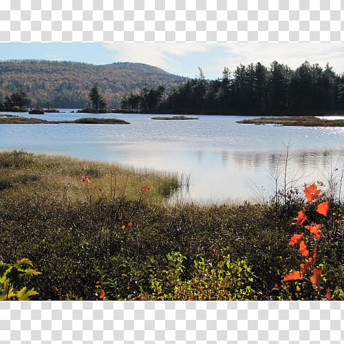 Loch Water resources Lake District Nature reserve Plant community, lake transparent background PNG clipart