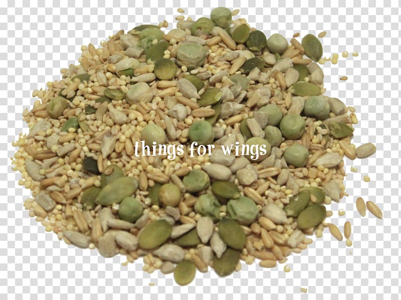 Organic food Sprouting Herb Organic certification, sprout transparent background PNG clipart