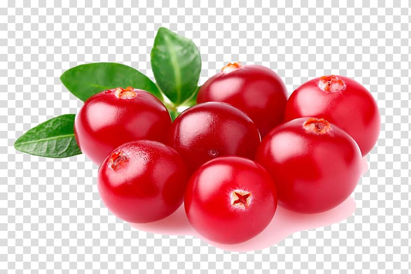 Barbados Cherry Cranberry juice Vaccinium corymbosum Fruit, others transparent background PNG clipart