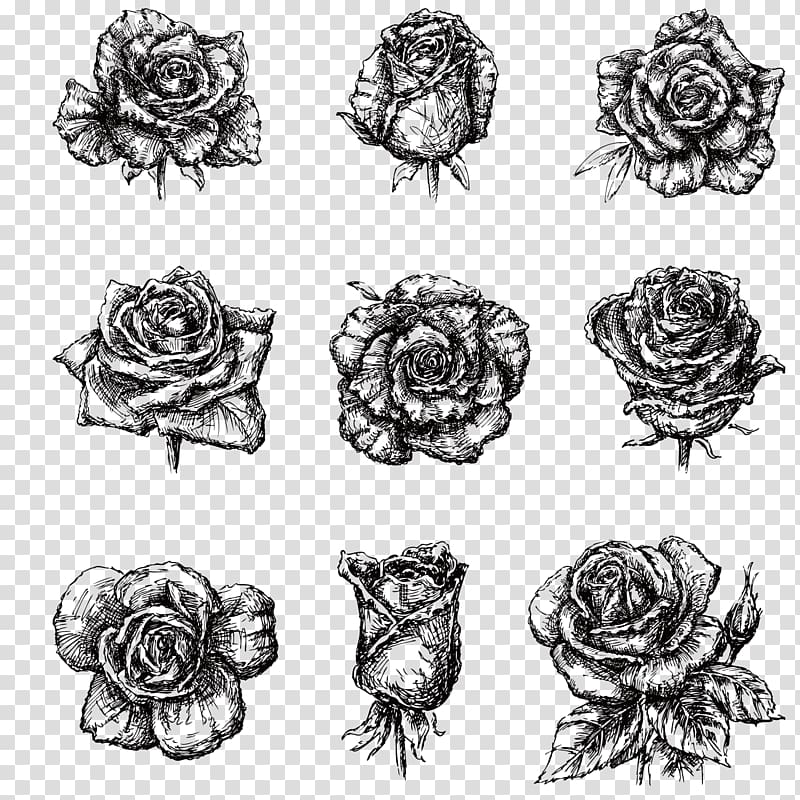 Drawing Black and white Illustration, Hand-painted black and white roses transparent background PNG clipart