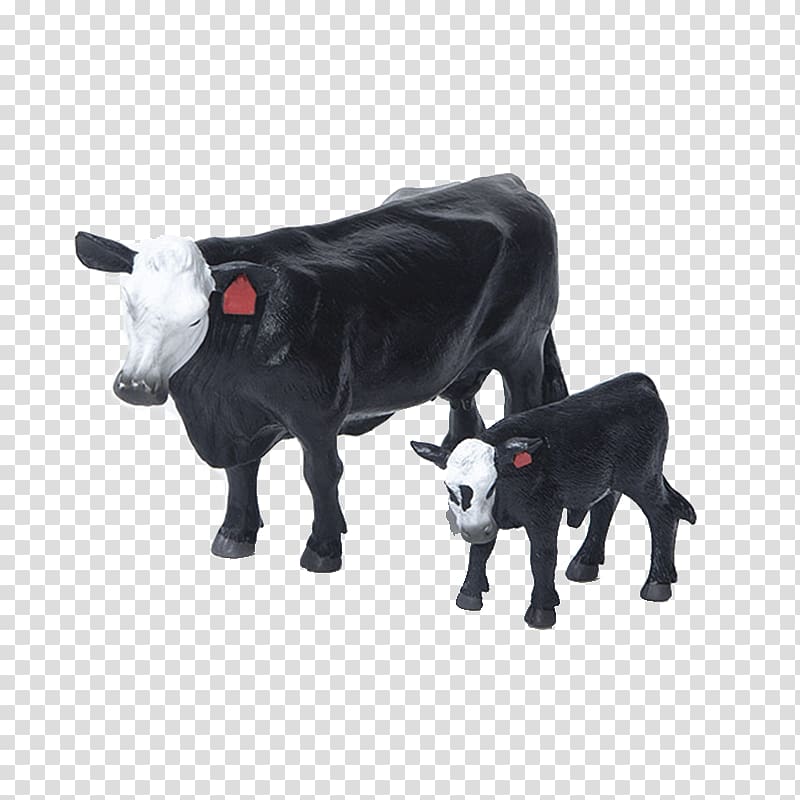 Dairy cattle Angus cattle Hereford cattle Calf Red Angus, bull transparent background PNG clipart
