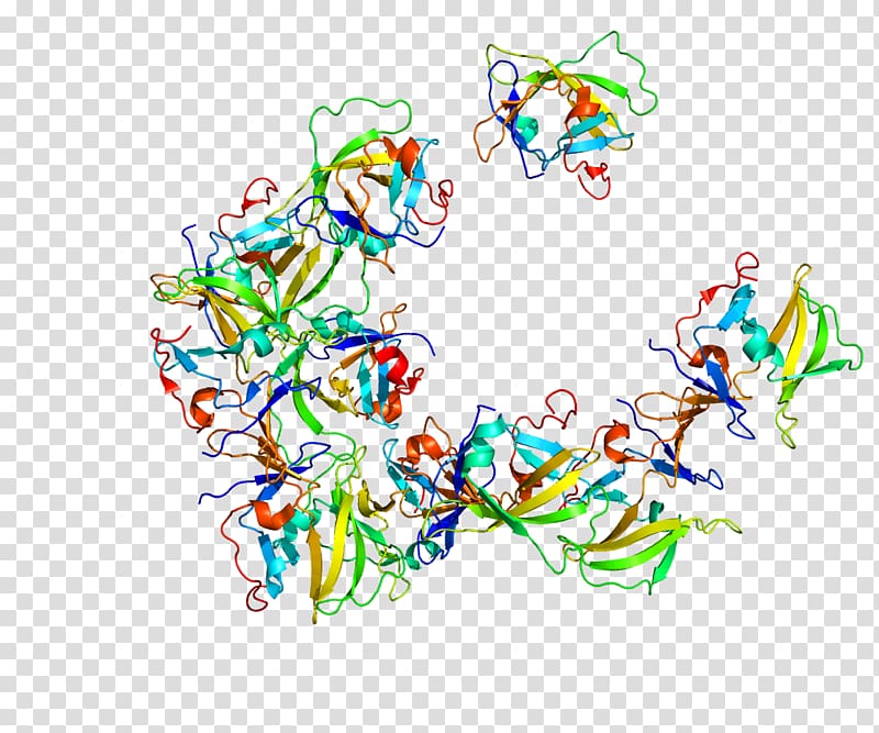 RIG-I-like receptor Helicase LGP2 MDA5, others transparent background PNG clipart