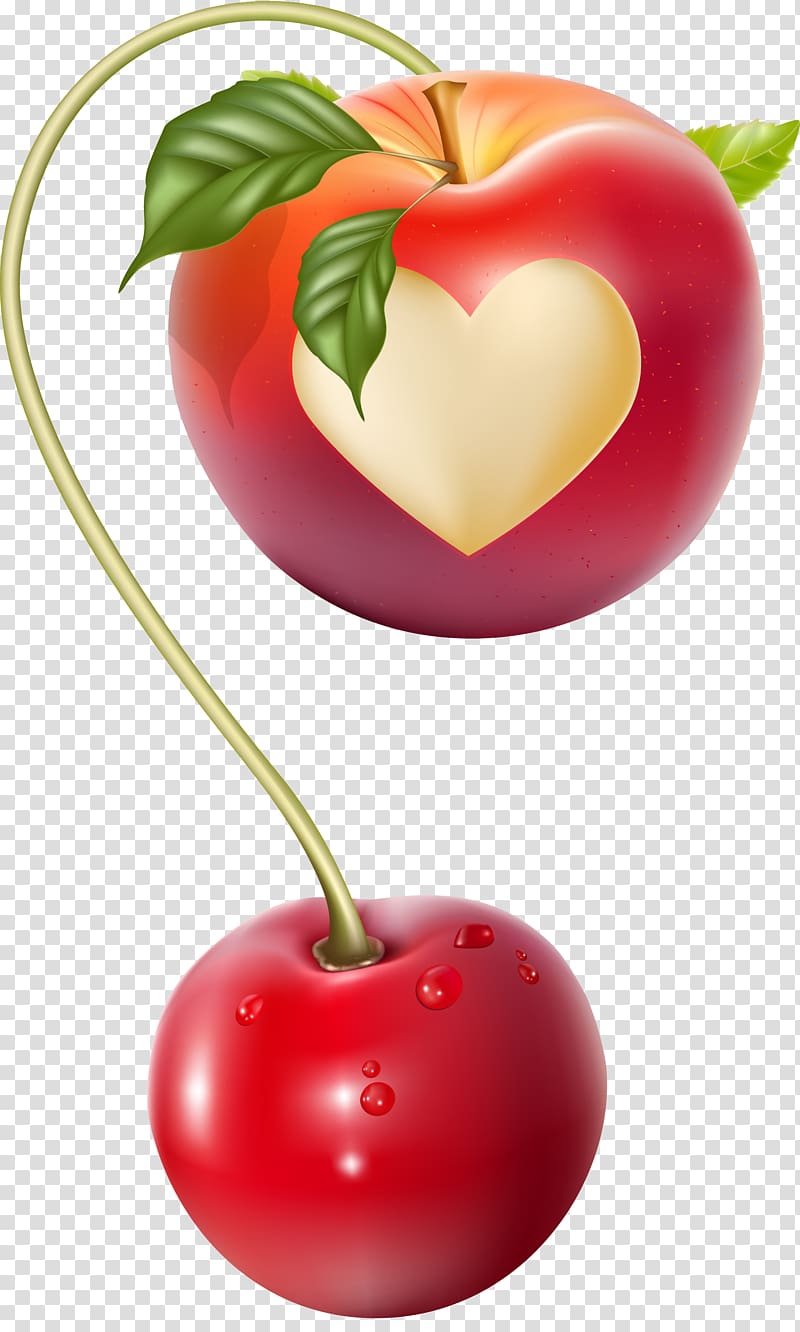 Cherry, Creative apple cherry color knot is longer transparent background PNG clipart