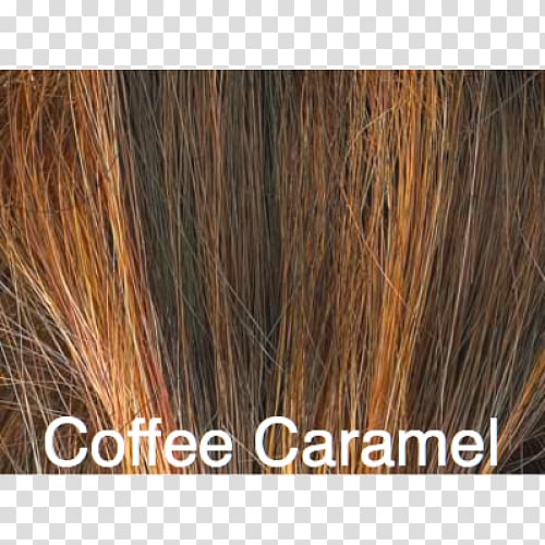 Brown hair Long hair Caramel color Hair coloring, hair transparent background PNG clipart