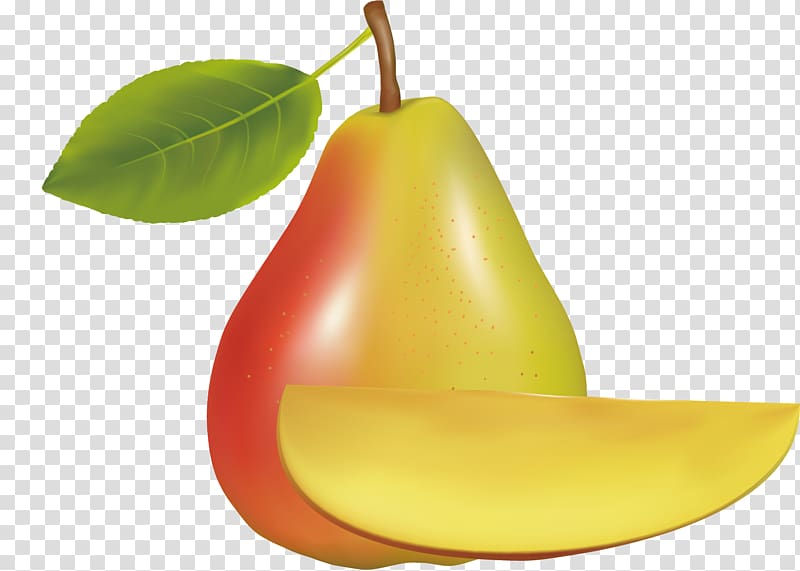 European pear Asian pear Pyrus nivalis Fruit, Material of huang pear transparent background PNG clipart
