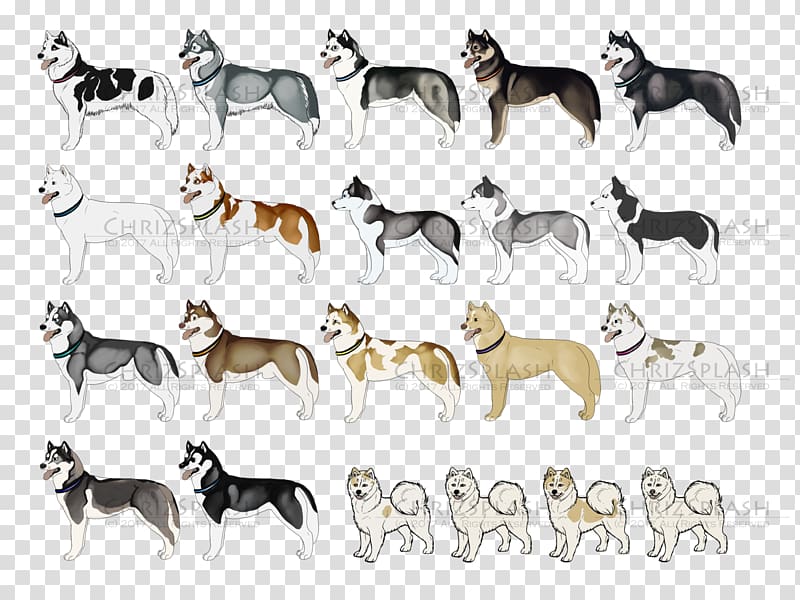 Dog breed Non-sporting group Snout, Dog transparent background PNG clipart