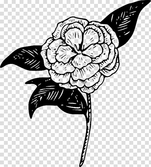 Drawing Line art , camellia transparent background PNG clipart