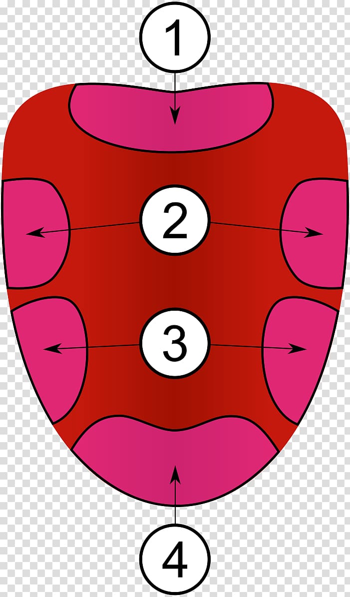 Tongue map Taste bud Taste receptor, tongue transparent background PNG clipart