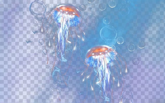 Jellyfish Text The Symbolic Meaning Illustration, Dream jellyfish transparent background PNG clipart