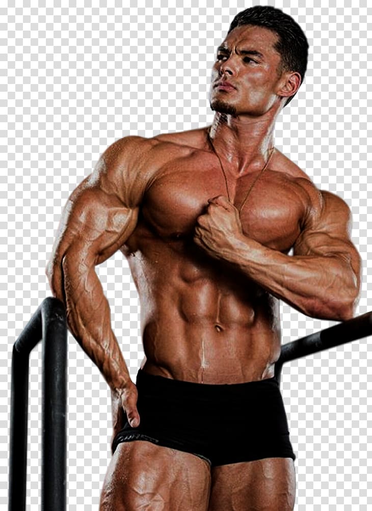 Jeremy Buendia Physical fitness Bodybuilding Squat Exercise, bodybuilding transparent background PNG clipart