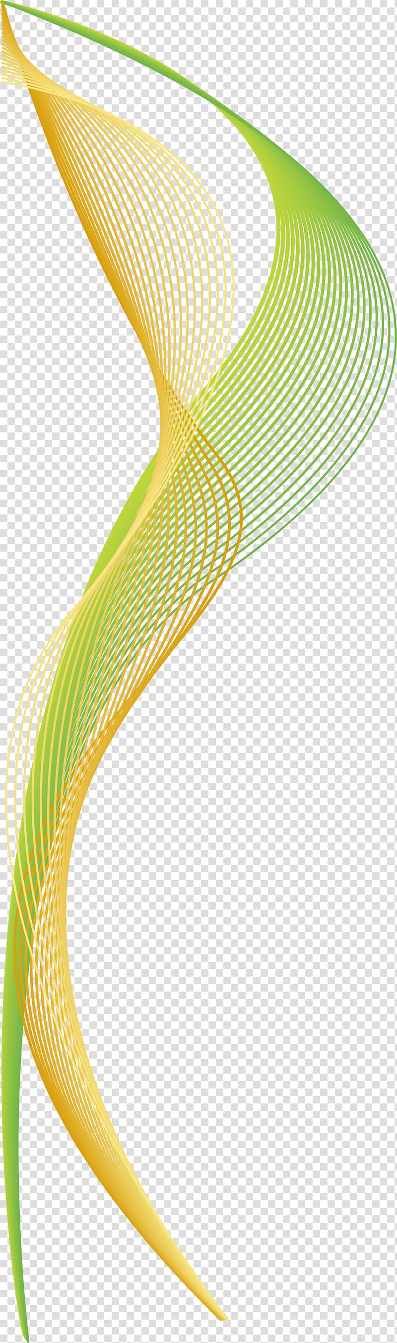 green and yellow stands illustration, Curve Green Euclidean Arc, Green line curve transparent background PNG clipart