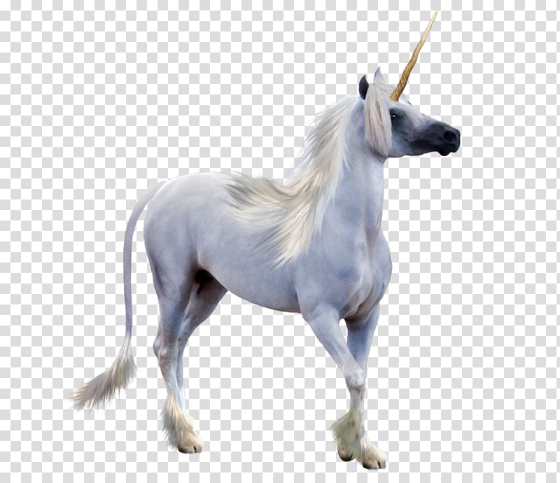 white unicorn, Winged unicorn Pegasus Unicorn horn, unicorn horn transparent background PNG clipart