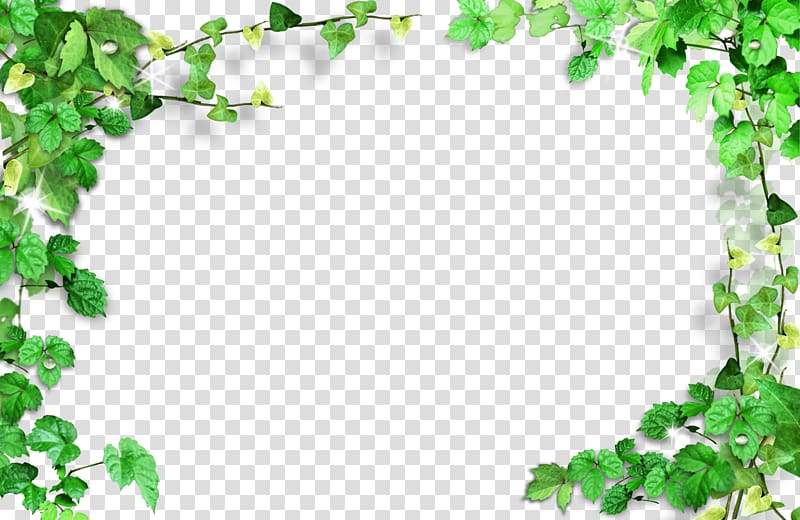 Green, Green leaves frame,Plant Frame, green textile transparent background PNG clipart