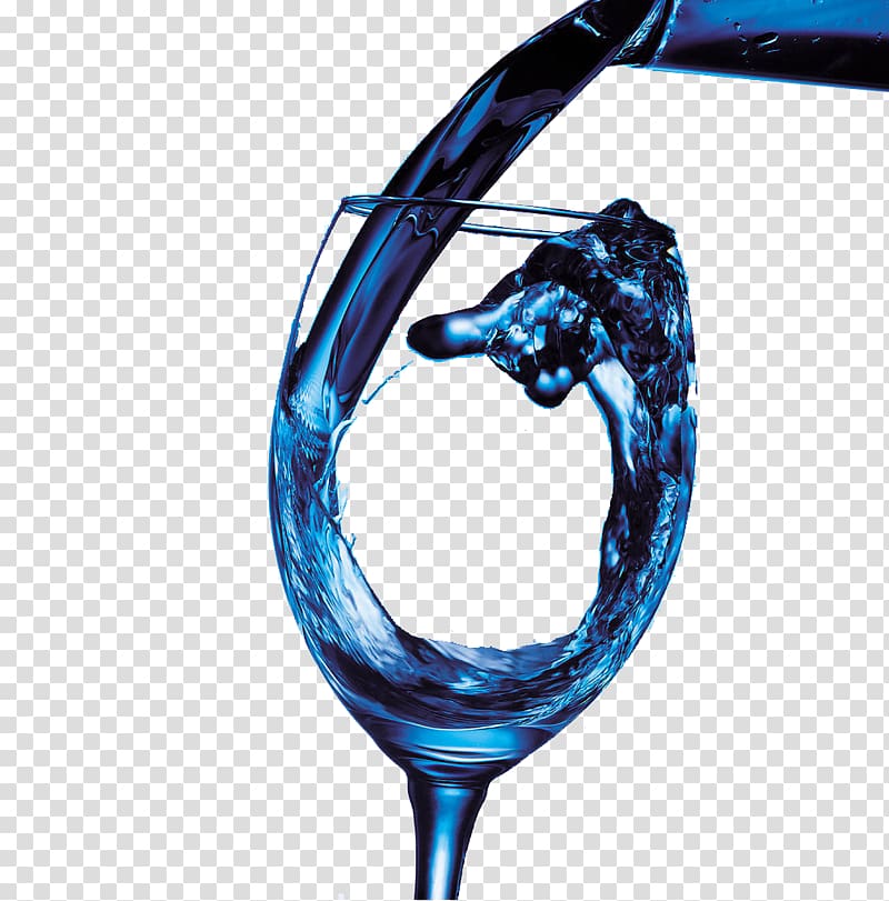 Wine Grape Drawing Illustration, Deep Blue wine transparent background PNG clipart