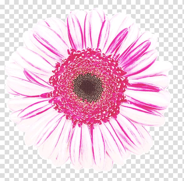 Microscope Pollen Flower, private appointment transparent background PNG clipart