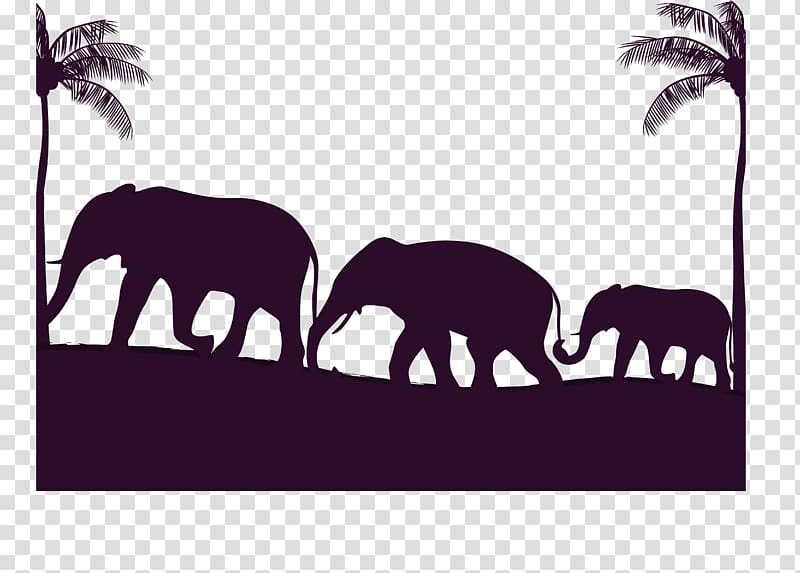 African elephant Indian elephant Elephant Families, Migrating elephant families transparent background PNG clipart