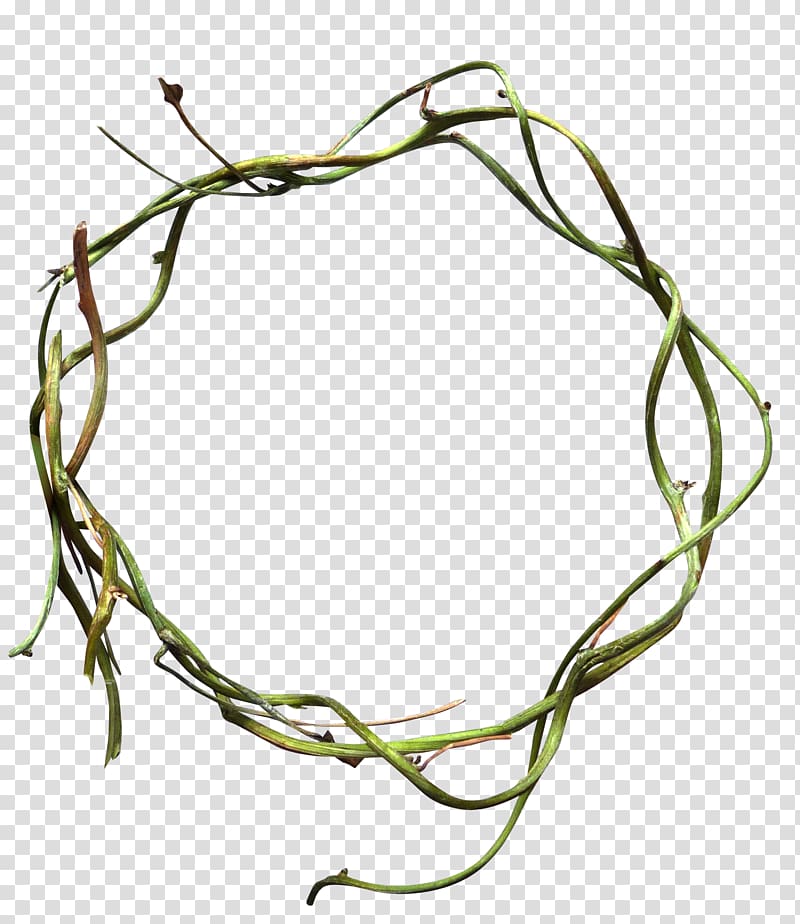 Circle Vine, Green shoots Ring transparent background PNG clipart