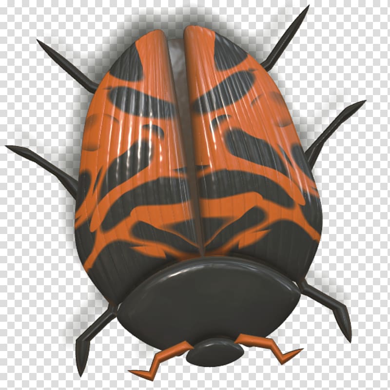 orange and black beetle illustration, Ladybug Orange and Black Head Down transparent background PNG clipart