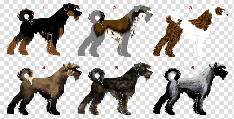 Dog breed Schnauzer Tail, Dog transparent background PNG clipart