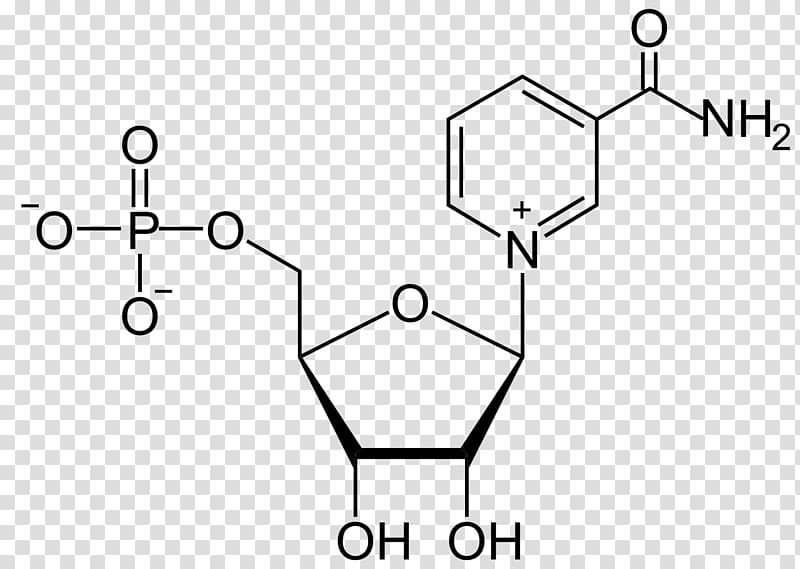 Thymine Thymidine Adenine Pyrimidine Uracil, others transparent background PNG clipart