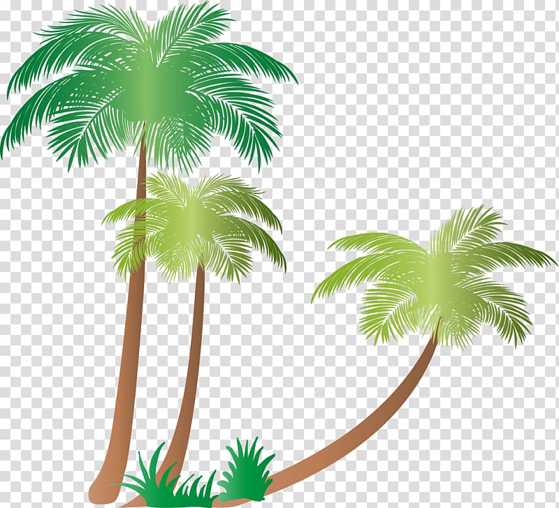 Arecaceae Tree Coconut Plant , palms transparent background PNG clipart