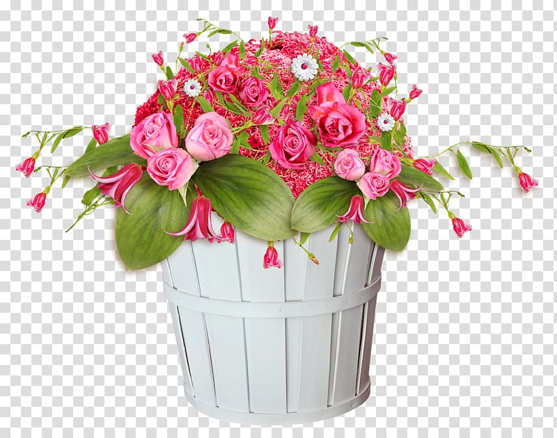 Transvaal daisy Flower Vase life Garden roses, flower transparent background PNG clipart
