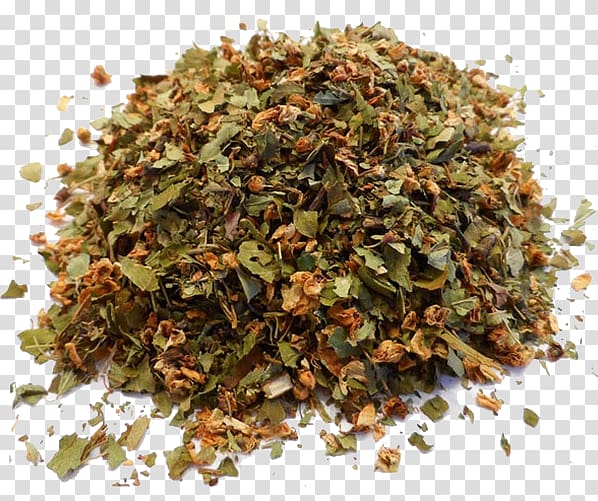 Tea Medicinal plants Herbalism Infusion, tea transparent background PNG clipart