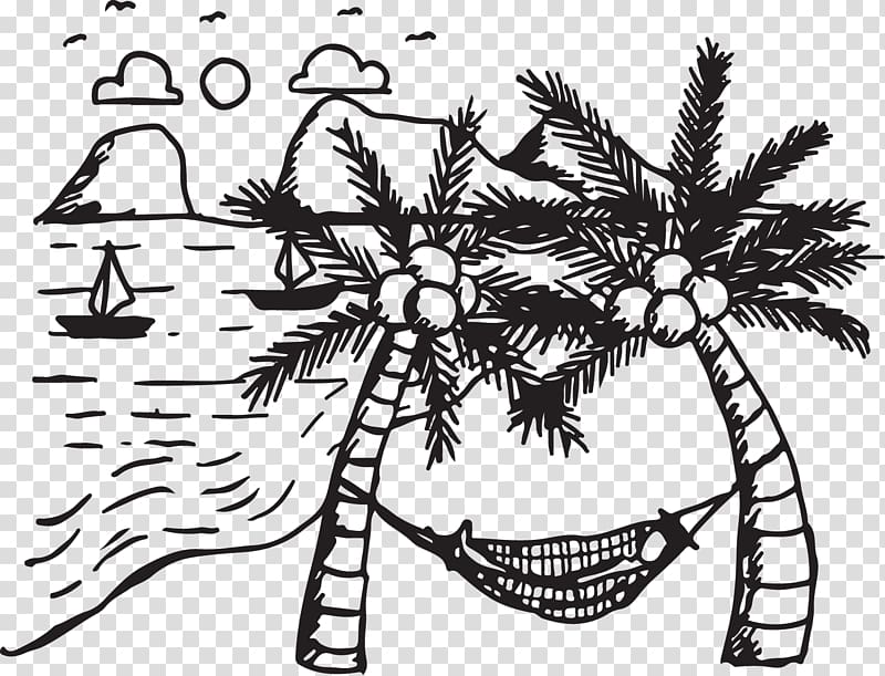 Coconut Tree Arecaceae Drawing, Coconut tree hammock transparent background PNG clipart