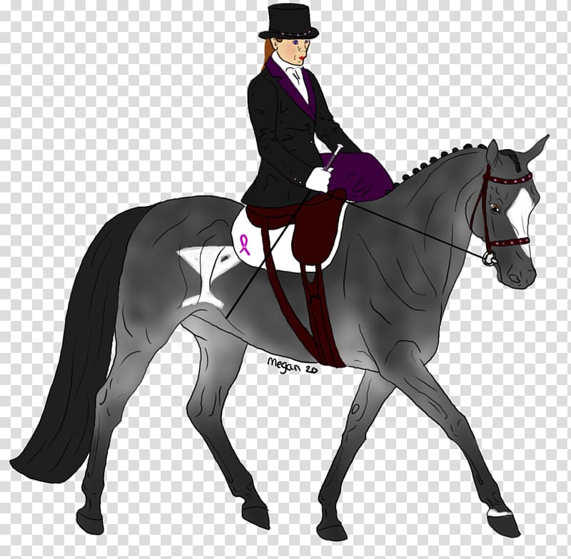 Hunt seat Stallion Horse Bridle Dressage, horse transparent background PNG clipart