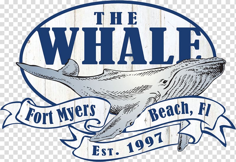 The Whale Marine mammal Logo Brand, mexico happy hour themes transparent background PNG clipart