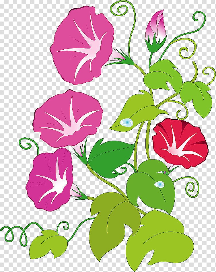 Ipomoea nil Flower, flower transparent background PNG clipart