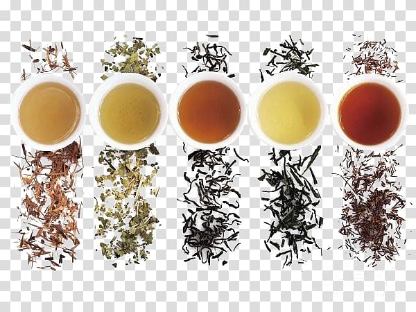 assorted teacups, Green tea White tea Oolong Yum cha, Five different colors of tea and tea transparent background PNG clipart