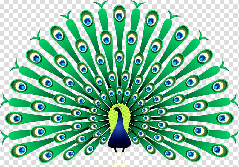 green and blue Peacock illustration, Peafowl , peacock transparent background PNG clipart