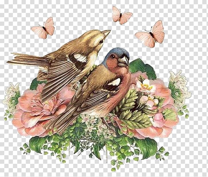 two brown birds on top of pink flowers, Clock face Decoupage Vintage clothing Do it yourself, sparrow transparent background PNG clipart
