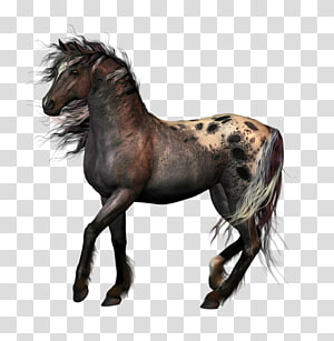 Mustang Portable Network Graphics Drawing, mustang transparent background PNG clipart thumbnail