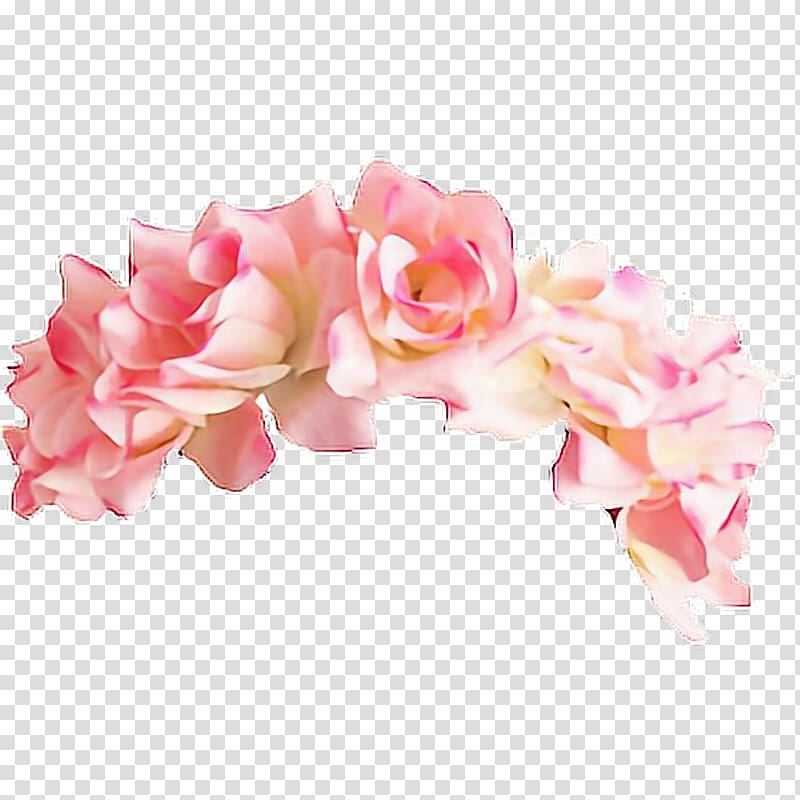 pink roses illustration, Flower Crown , wreath transparent background PNG clipart