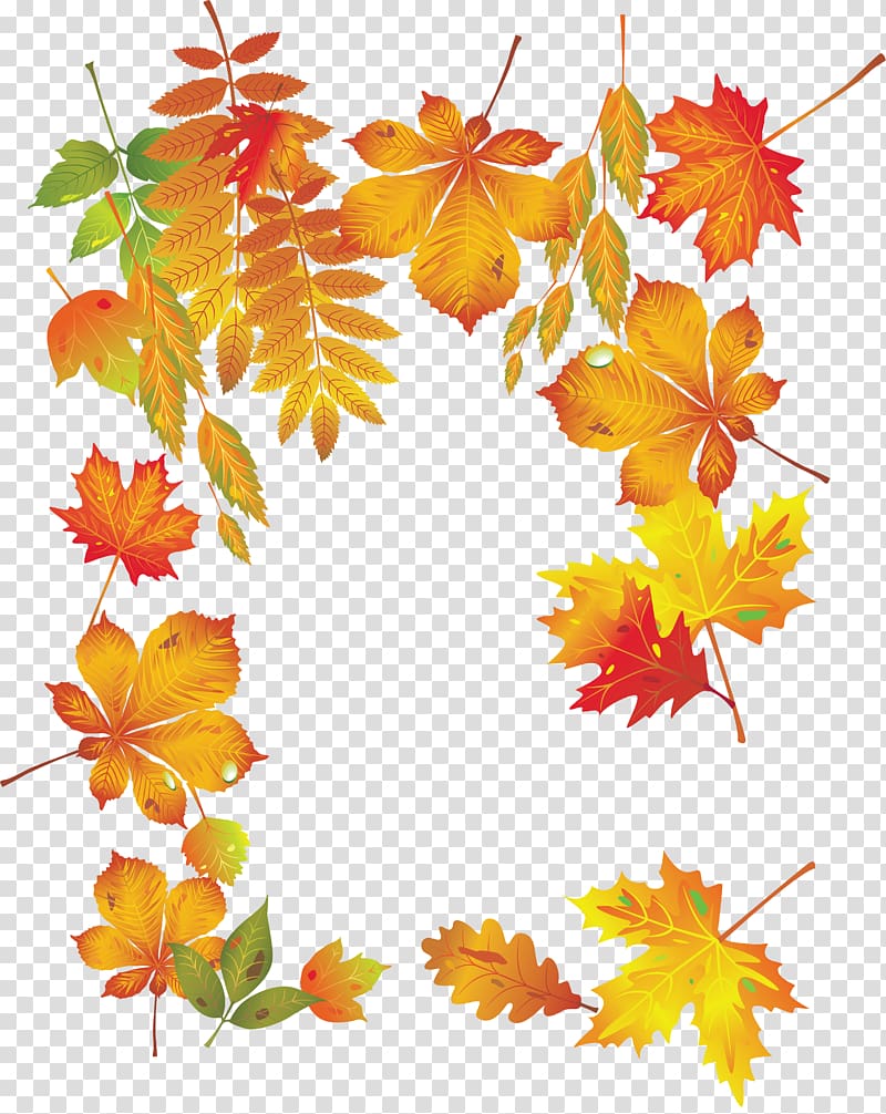 Maple leaf Portable Network Graphics Frames, Leaf transparent ...