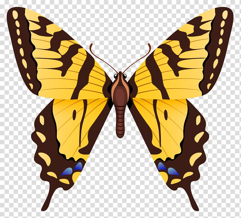 Monarch butterfly Eastern tiger swallowtail Swallowtail butterfly Pieridae, butterfly transparent background PNG clipart