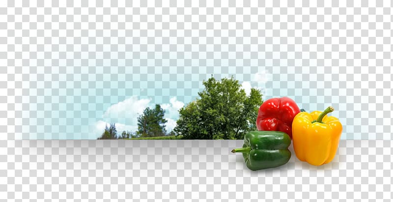 Bell pepper Agribusiness Food Aguascalientes, others transparent background PNG clipart