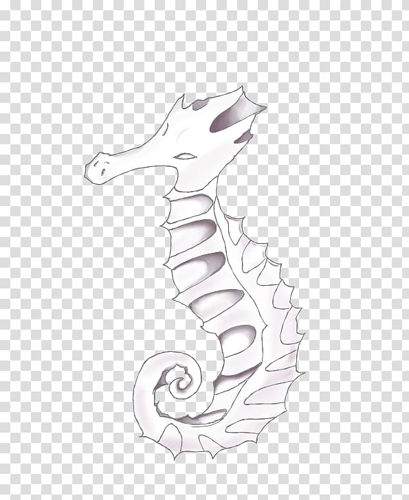 Seahorse White Pipefishes and allies Line art H&M, New Holland Seahorse transparent background PNG clipart