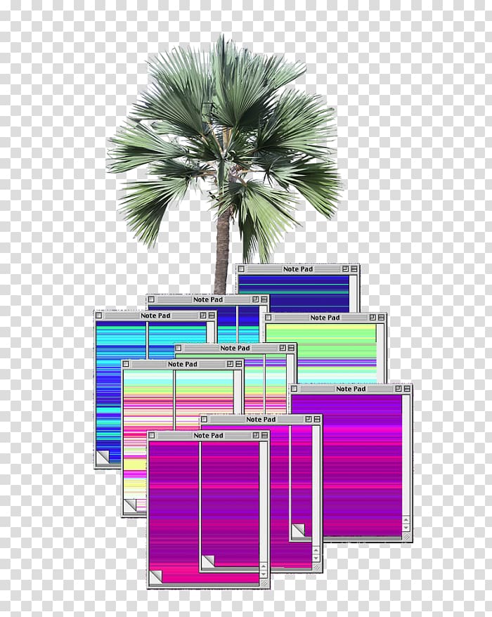 Arecaceae Tree Latania Architecture Plant, tree transparent background PNG clipart