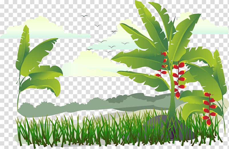 Green leafed tree illustration, Banana Illustration, Island tree ...