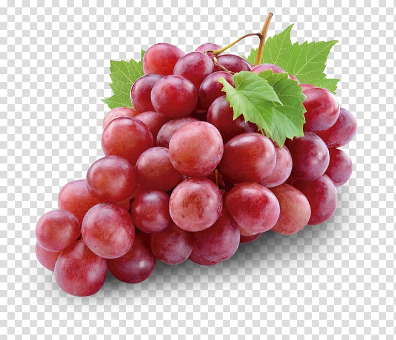 Red Wine Juice Shiraz Grape Red Globe, red grape transparent background PNG clipart