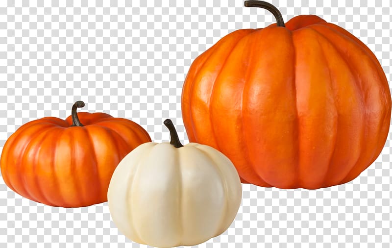 Pumpkin pie Zucchini Vegetable, Pumpkin transparent background PNG clipart