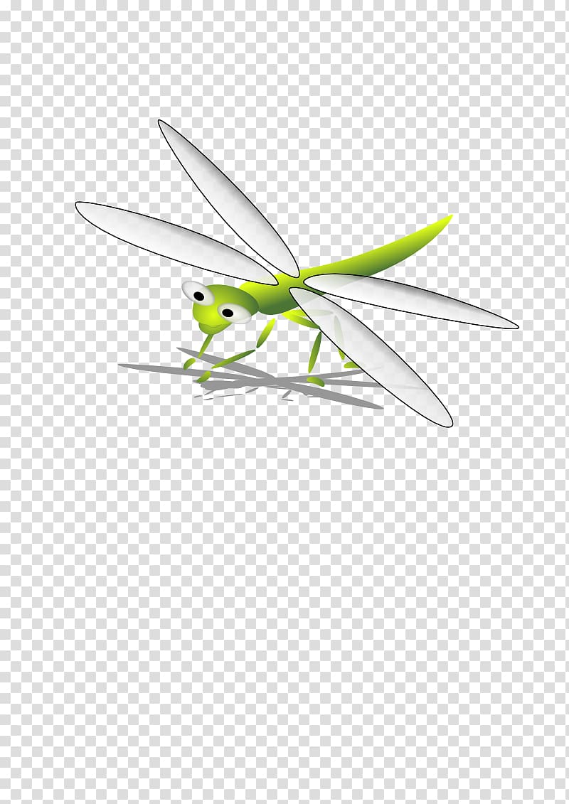 Dragonfly , dragonfly transparent background PNG clipart