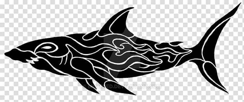 Its a pretty great white shark tattoo  INK SLAVE TATTOOS  Facebook