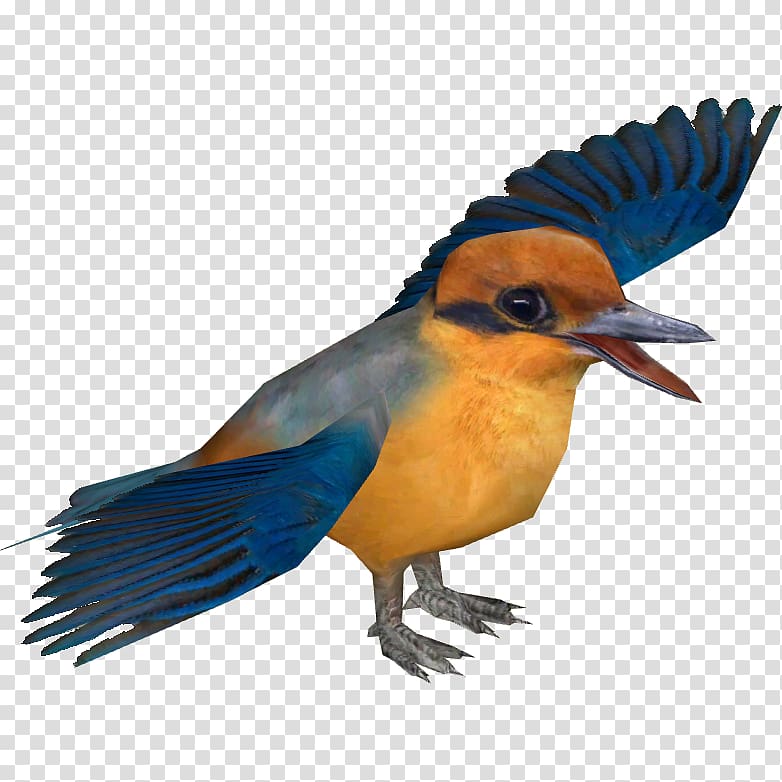 Bird Tree kingfisher Water kingfisher Kofiau paradise kingfisher Guam kingfisher, Bird transparent background PNG clipart